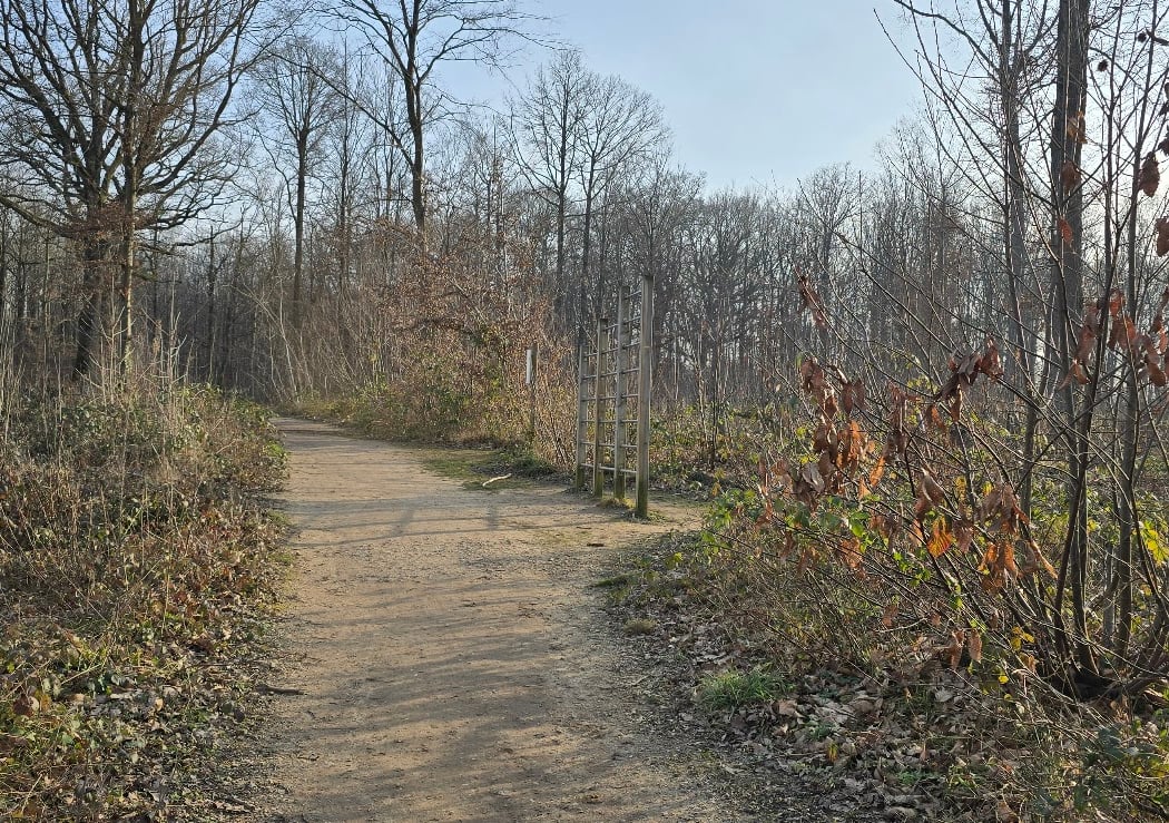 Sentier sportif sylvestre 2